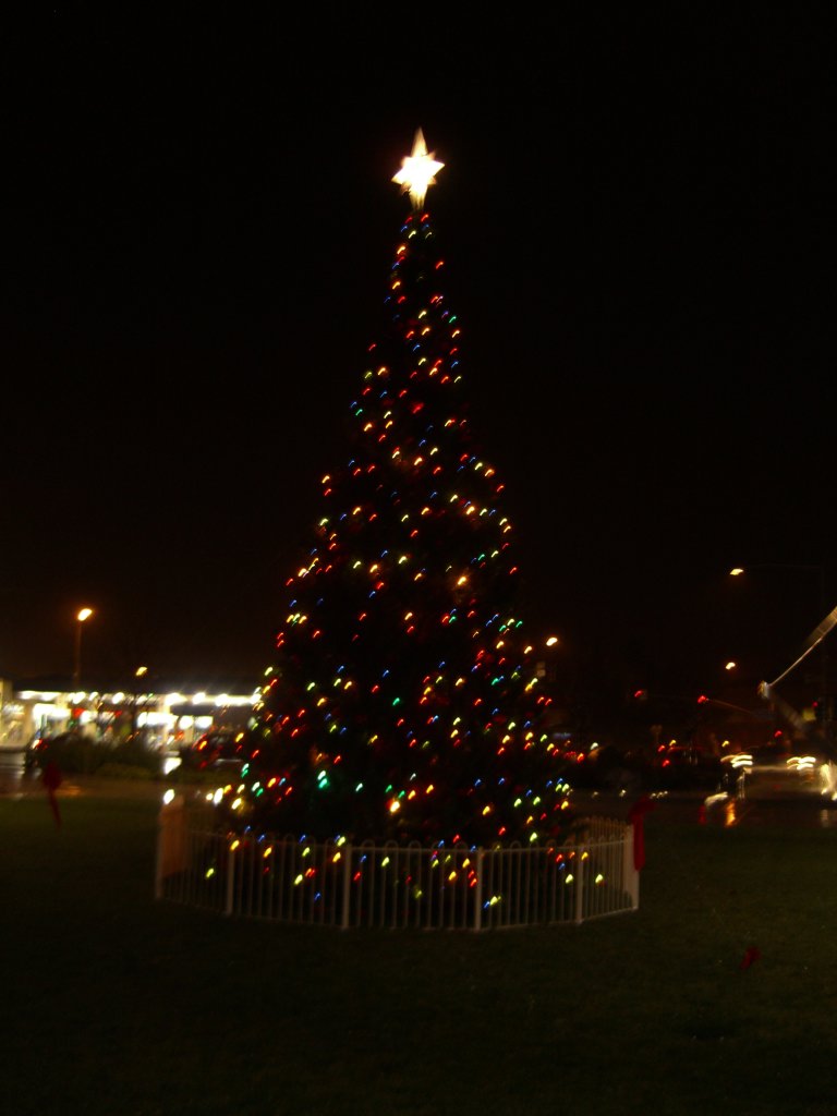 Cupertino Christmas Tree