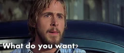 "What do you want" scene from The Notebook