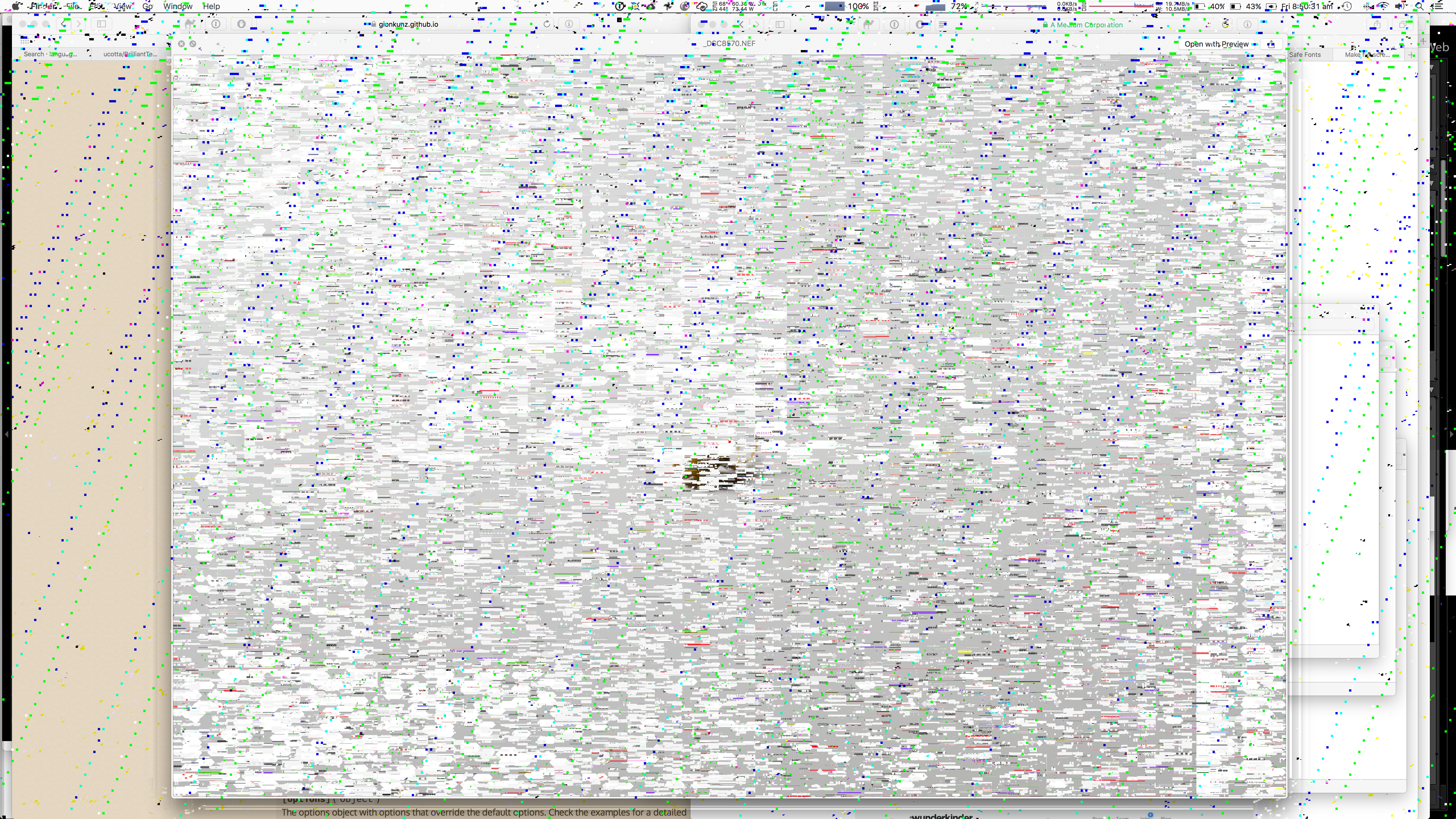 Screen shot showing massive graphics corruption