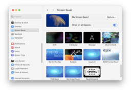 Screenshot of the macOS System Settings application, open to the Screen Saver pane, with "My Screen Saver!" selected as the active screen saver.